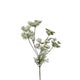 Roberts Collection Kunstblume Dill 80 cm weiß