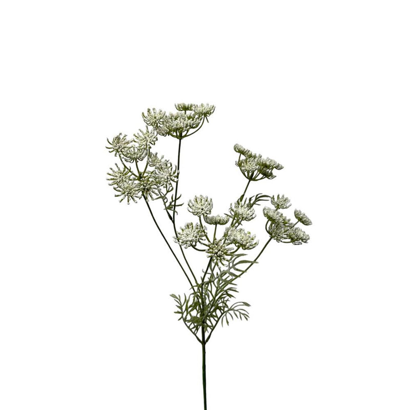 Roberts Collection Kunstblume Dill 80 cm weiß