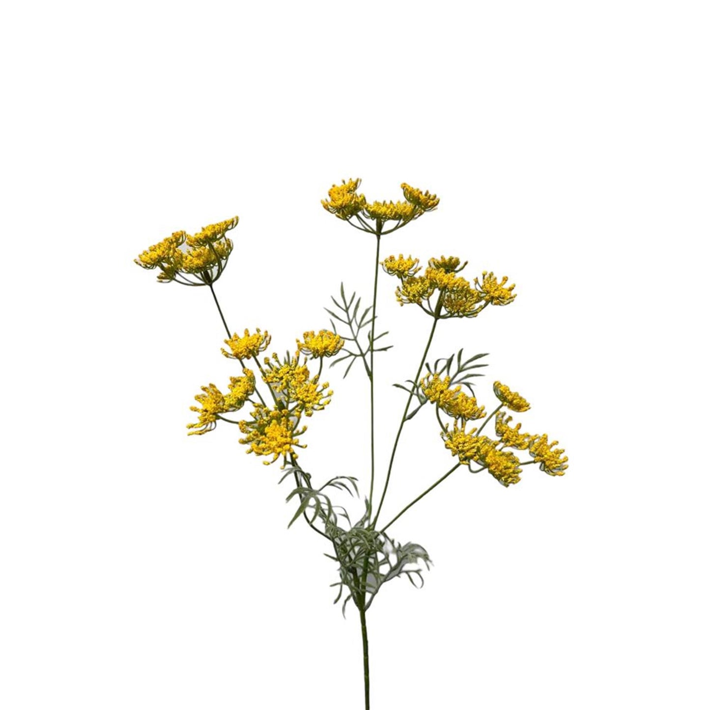 Roberts Collection Kunstblume Dill 80 cm gelb
