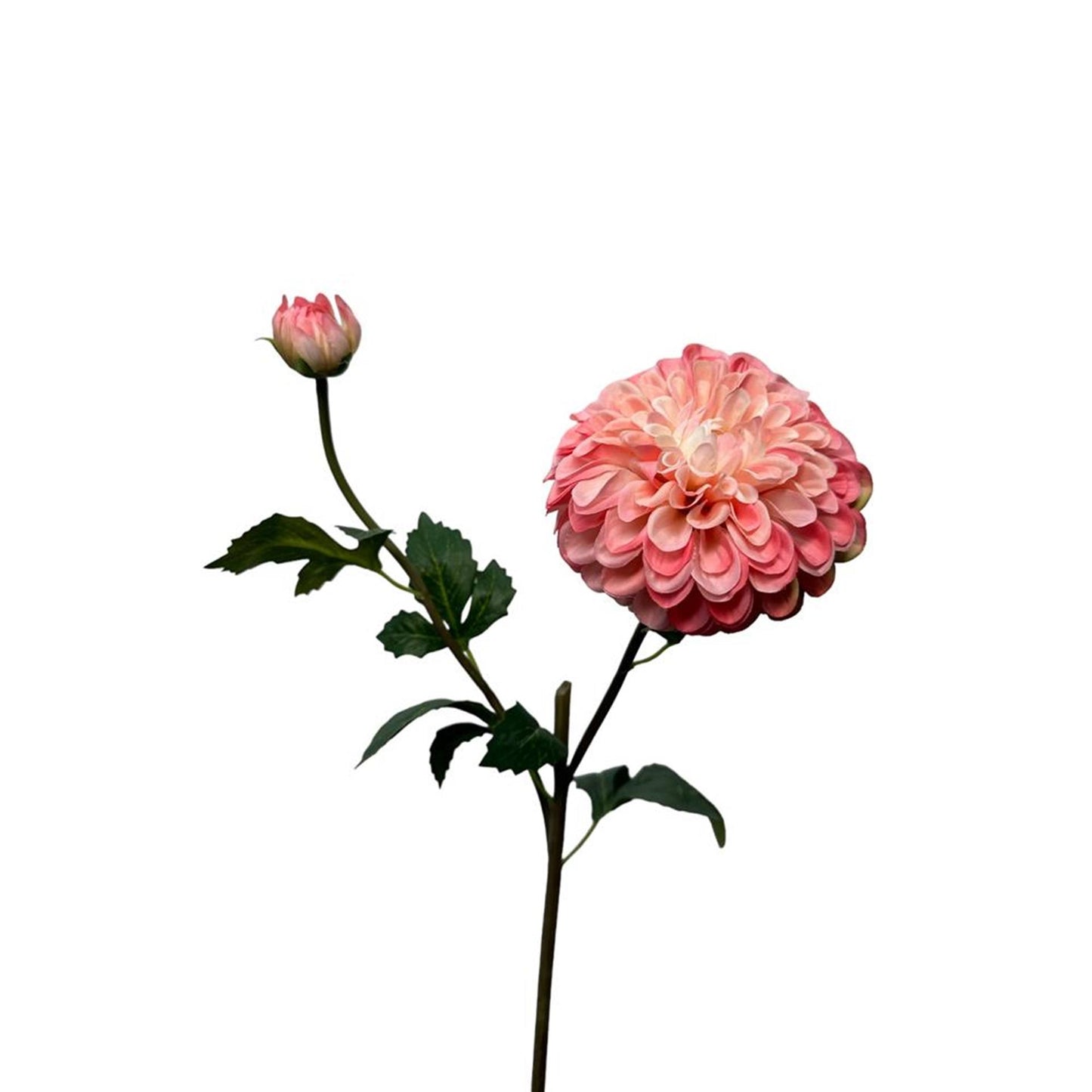 Roberts Collection Kunstblumen-Dahlienspray, 74 cm, Perle