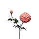 Roberts Collection Kunstblumen-Dahlienspray, 74 cm, Perle