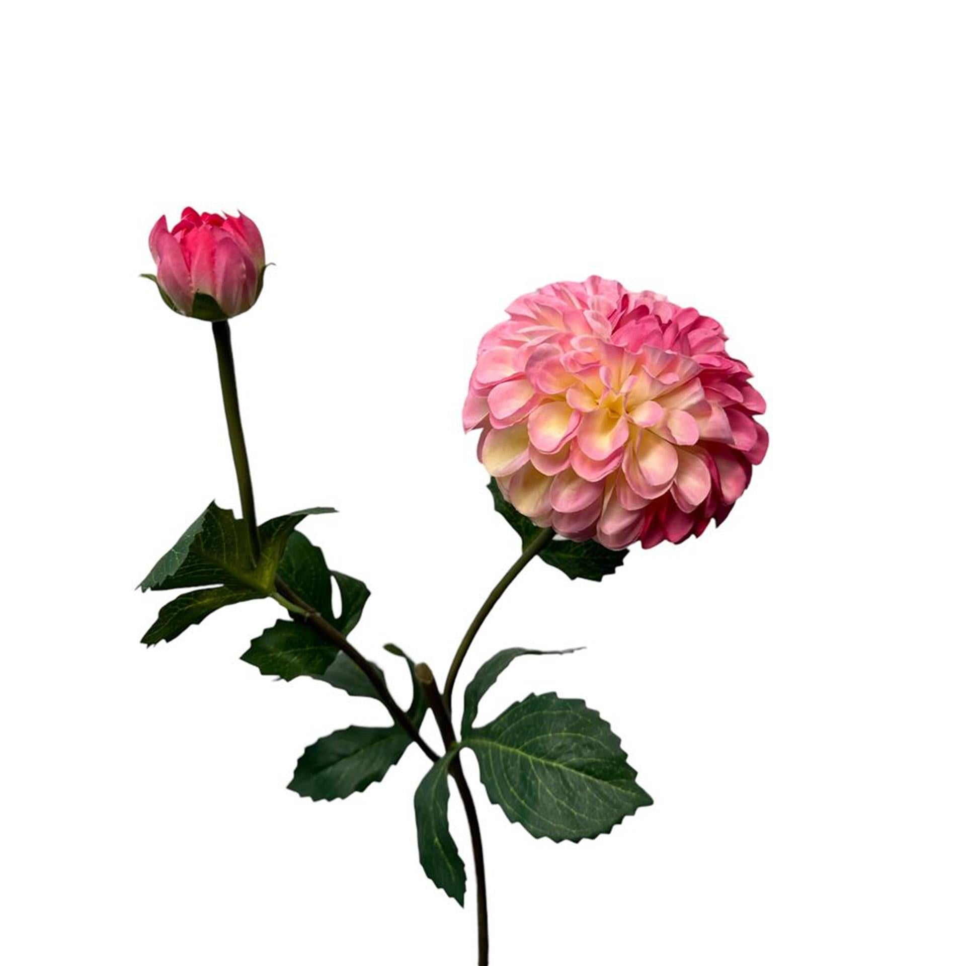 Roberts Collection Kunstblumen-Dahlienspray, 74 cm, Dunkelrosa