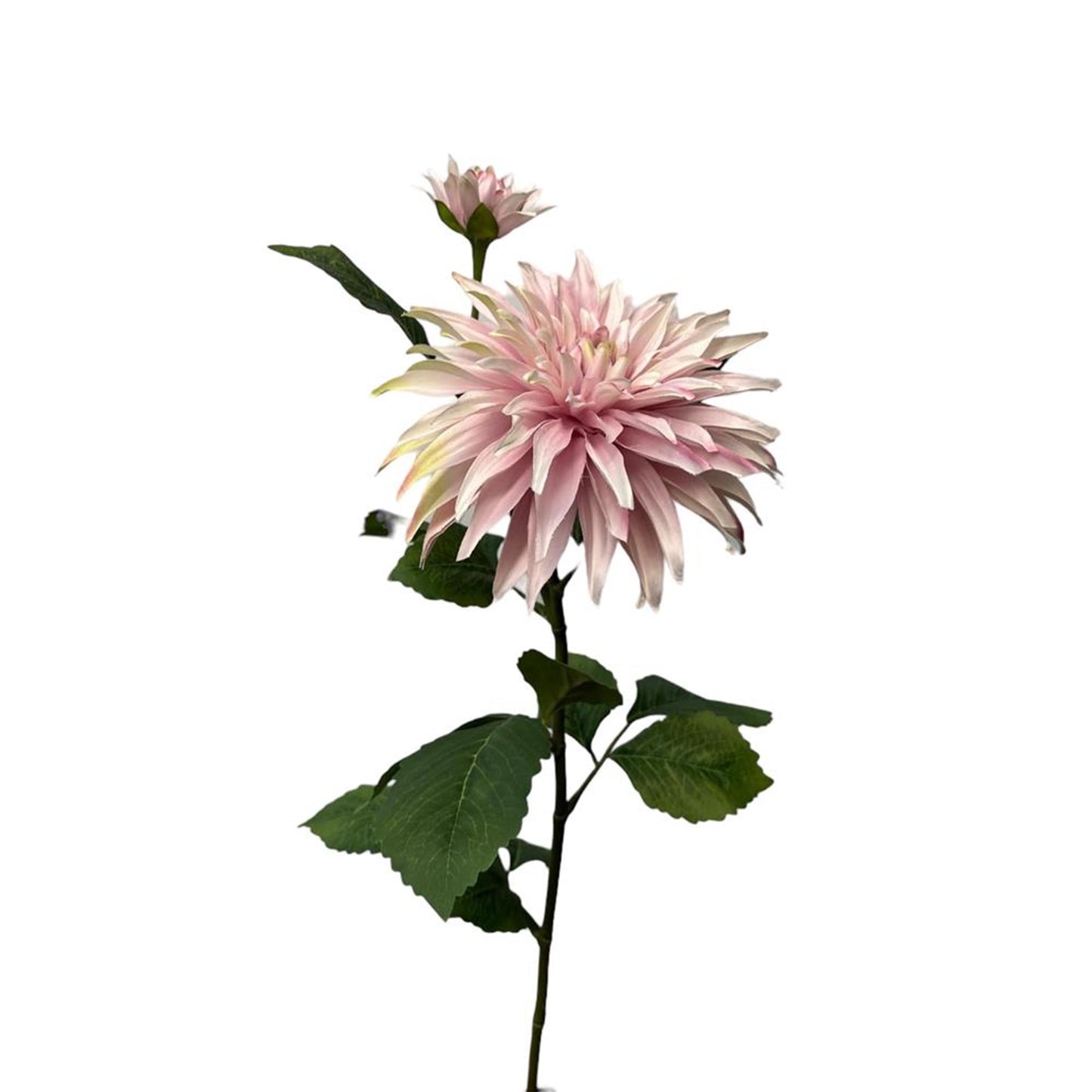 Roberts Collection Kunstblume Dahlie + Knospenspray 74 cm perlmutt