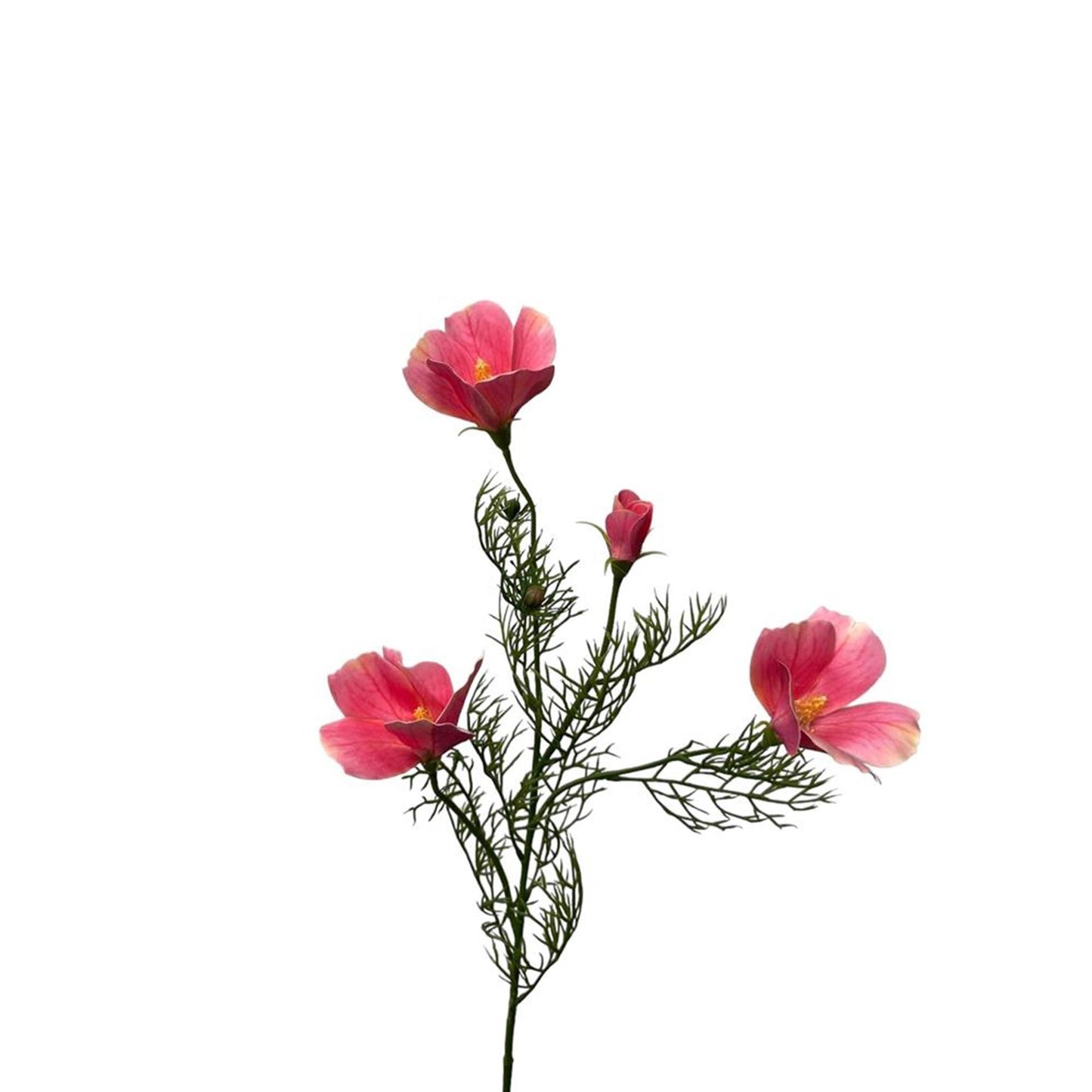 Roberts Collection Kunstblumen-Hibiskus-Spray, 68 cm, hellrosa