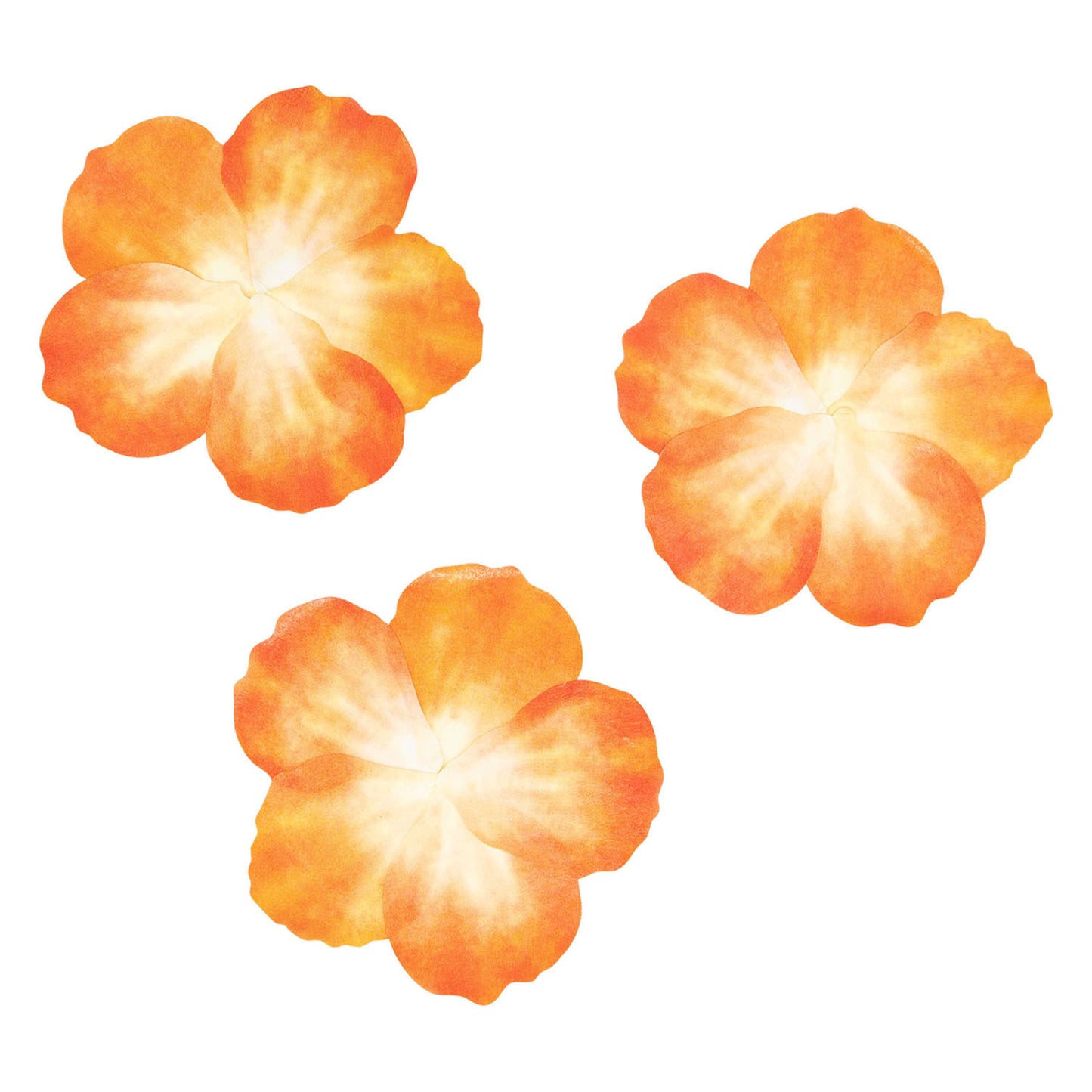 Färbung Washi Sticker Oranje Blütenblätter, 80..