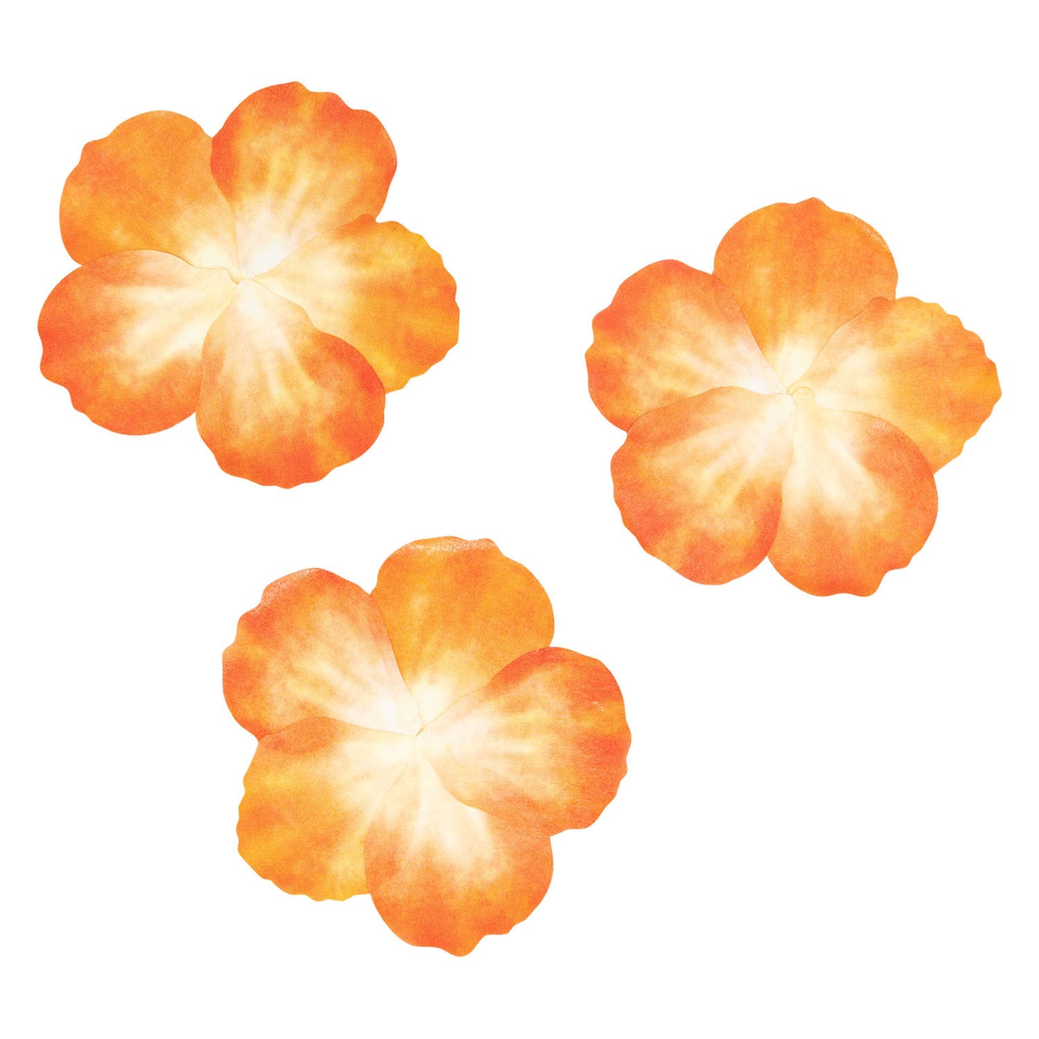 Färbung Washi Sticker Oranje Blütenblätter, 80..