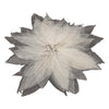 Magnolienblatt -Skelette, 50..