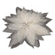 Magnolienblatt -Skelette, 50..