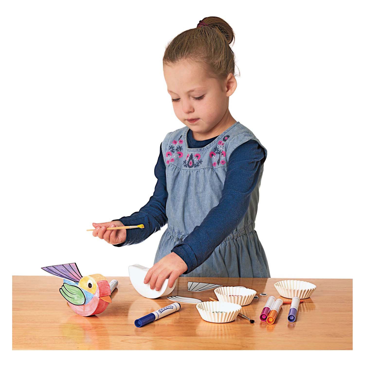 Farbgebiete - Vogel Craft Set, 12dlg.