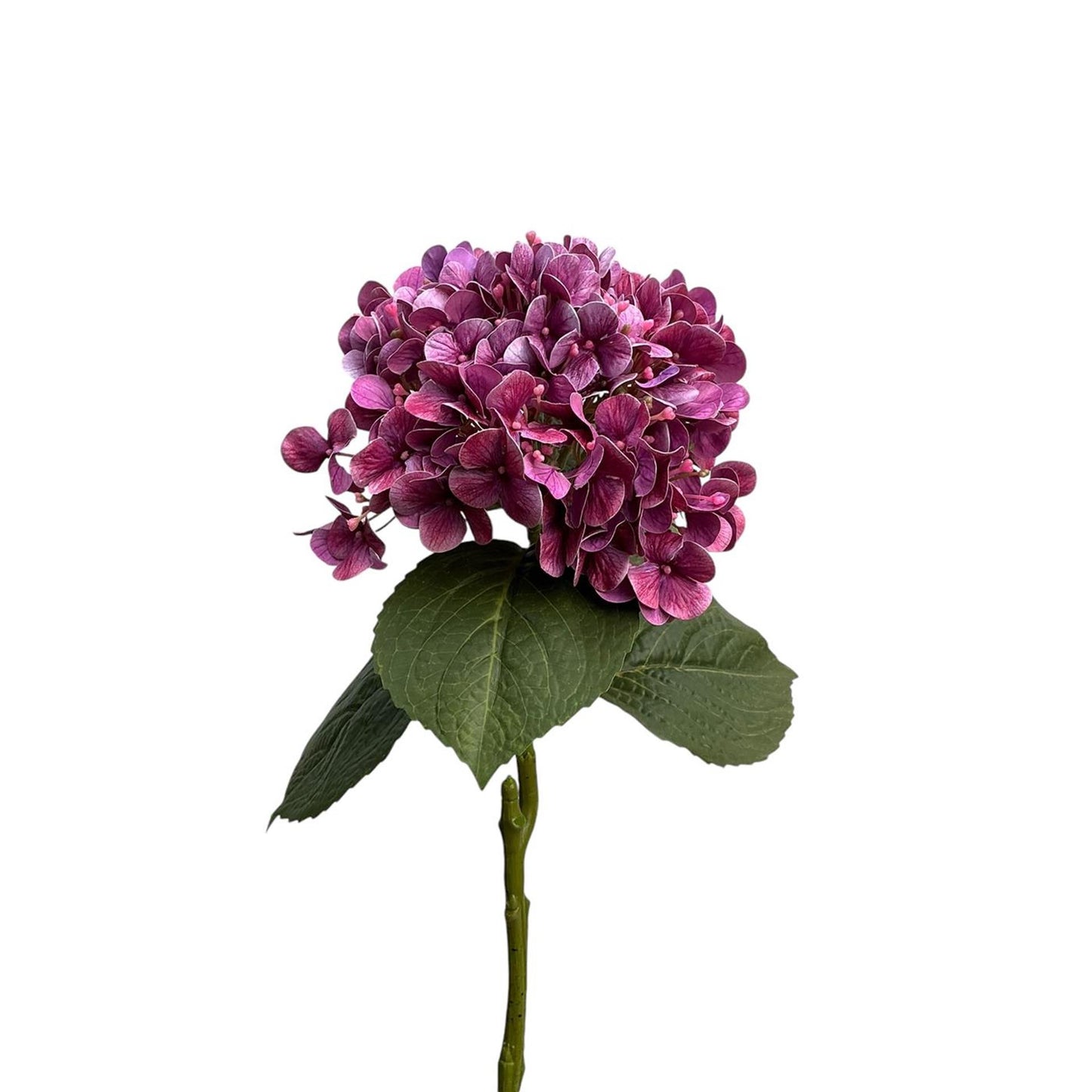Roberts Collection Hortensie Real Touch 75 cm lila