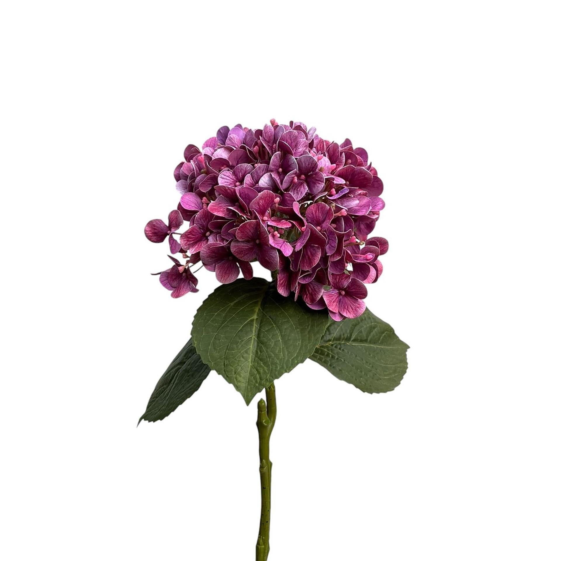 Roberts Collection Hortensie Real Touch 75 cm lila