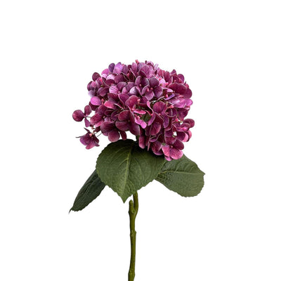 Roberts Collection Hortensie Real Touch 75 cm lila