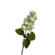Roberts Collection Hortensienkegel „Real Touch“, 75 cm, Creme