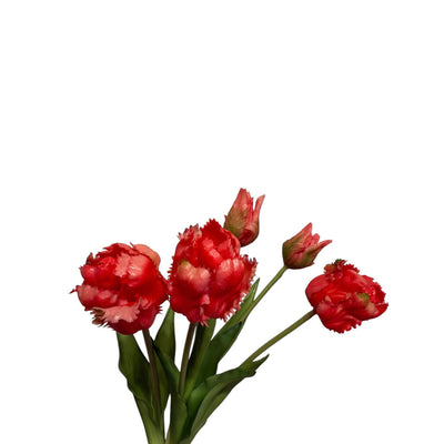 Roberts Collection Kunststrauß Tulpen Papagei Kirschrot