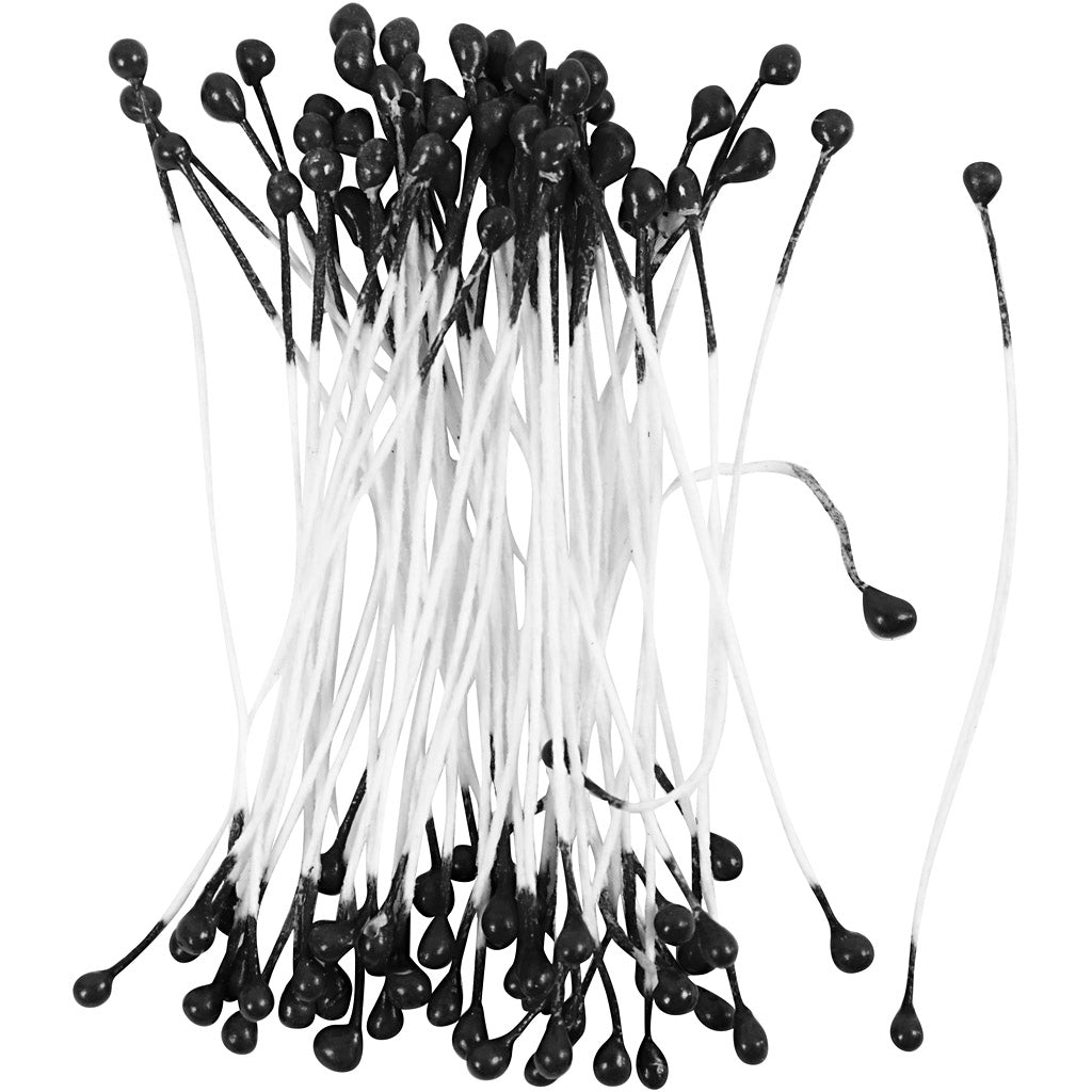 Creativ Company Blütenstaubblätter, L: 6,4 cm, D 2 mm, schwarz, 100 Stück 1 Box