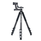 Sirui Sportich Carbon SP324+BH-10