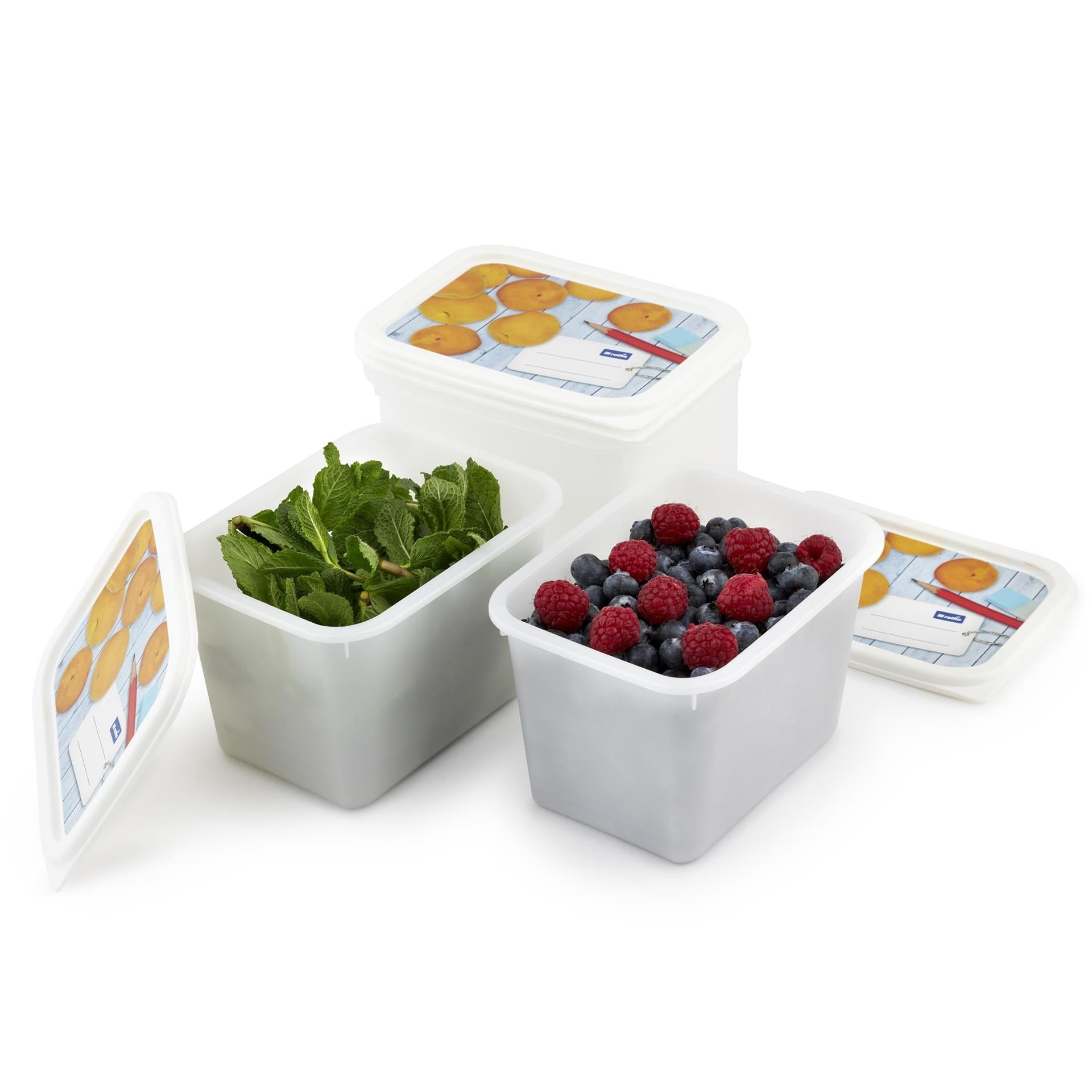 Rotho Gefrierdosen-Set 4-teilig 1l
