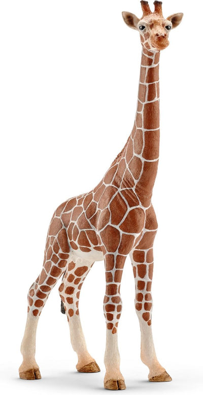 Schleich Wild Life Giraffe Wijfje 14750