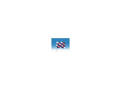 Z-Wellen-Flagge Friesland groß 50x70cm + Stab