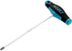 HAZET 6-CTNER SCLEWDR 4mm 828-4