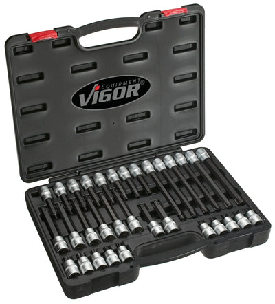 Vigorschraubendreher -Einsatzsortierstätte. Torx 32tlg.