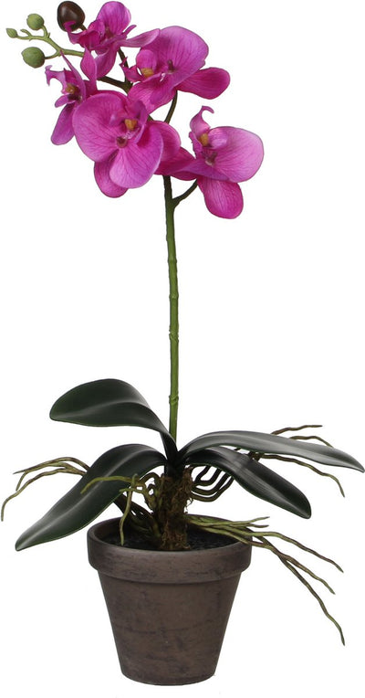 Glimmerdekorationen Kunstpflanze - Phalaenopsis-Orchidee - Lila - 48 cm - Kunstpflanzen Kunstpflanzen mit Blumen