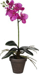 Glimmerdekorationen Kunstpflanze - Phalaenopsis-Orchidee - Lila - 48 cm - Kunstpflanzen Kunstpflanzen mit Blumen