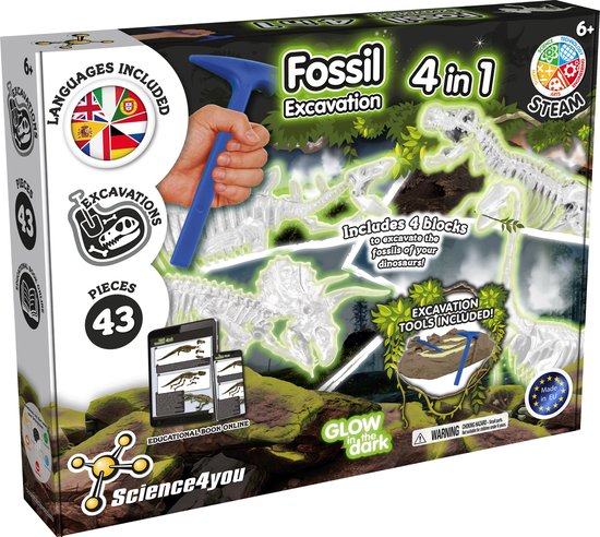 Wissenschaft 4 Sie fossilien früh 4 zu 1 Set leuchten im Dunkeln
