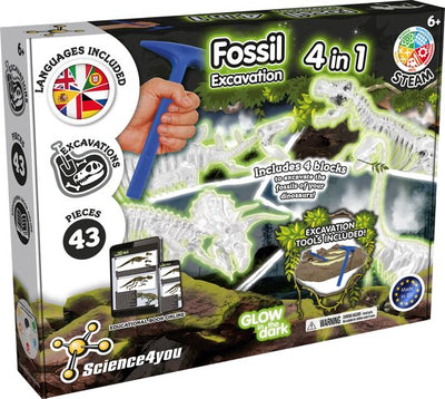 Wissenschaft 4 Sie fossilien früh 4 zu 1 Set leuchten im Dunkeln