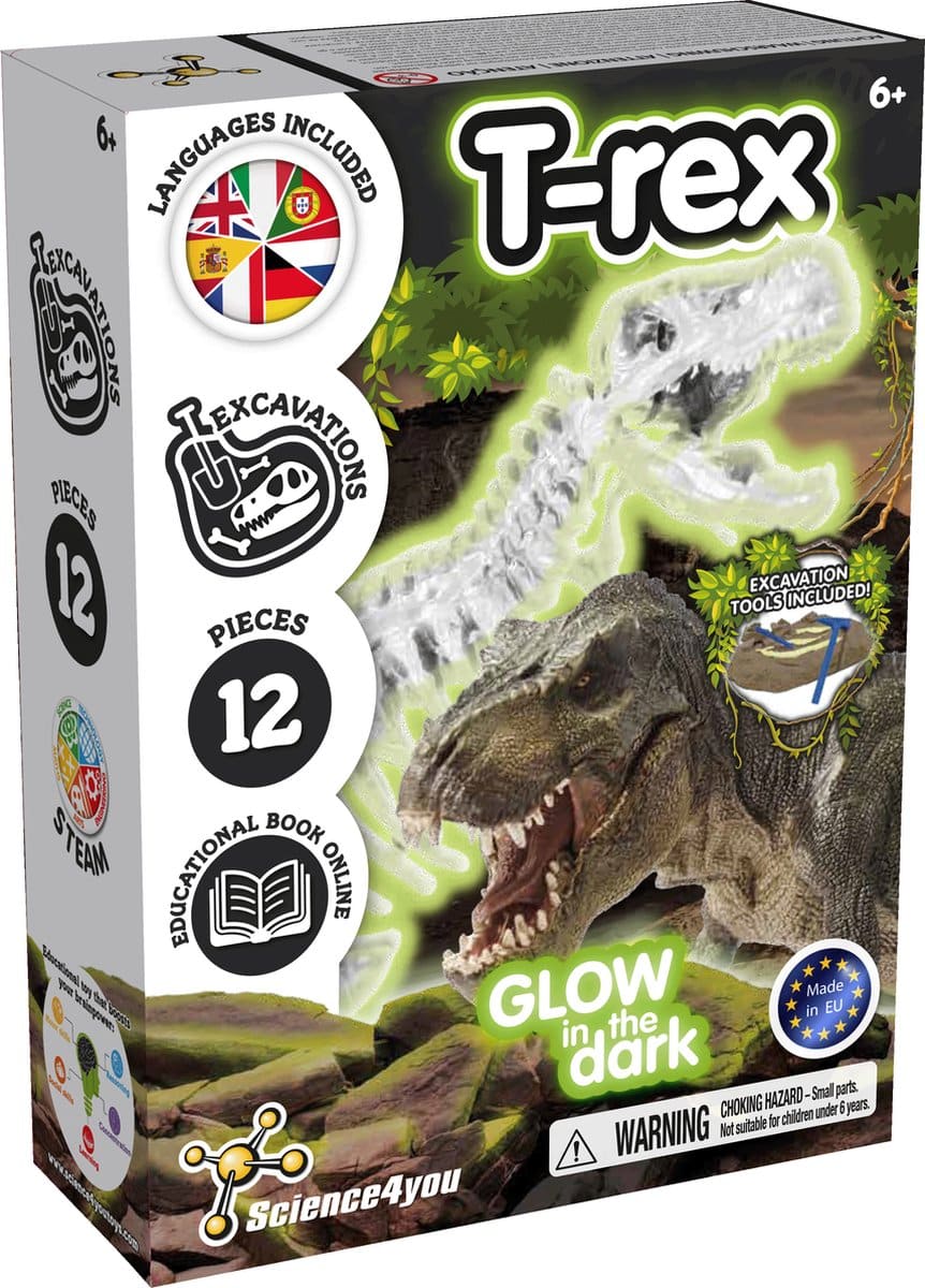 Wissenschaft 4 Sie experimentieren Box T-Rex Leuchten im dunklen Set