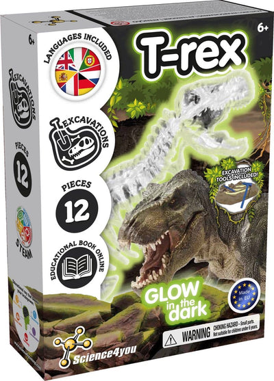 Wissenschaft 4 Sie experimentieren Box T-Rex Leuchten im dunklen Set