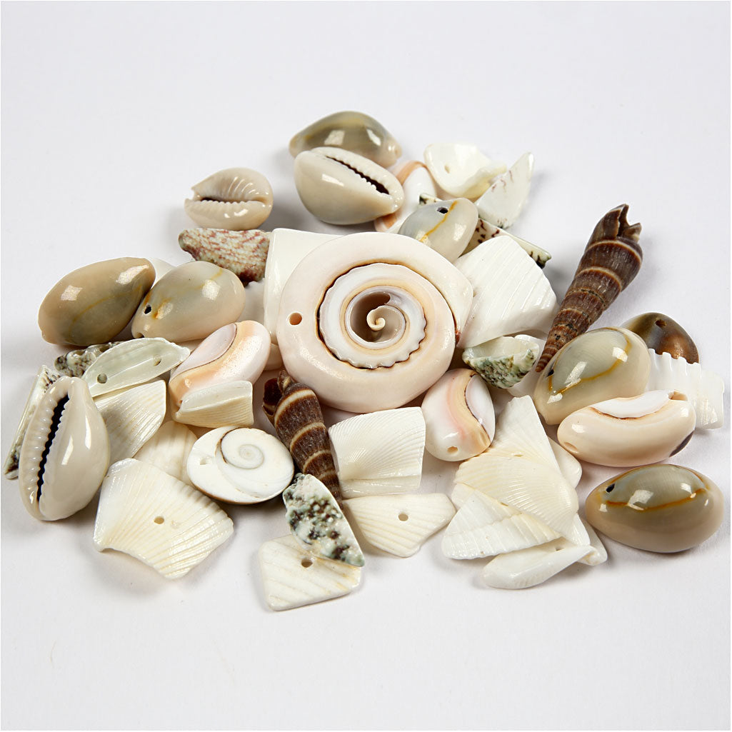 Creativ Company Strang Muschelperlen, Größe 9-40 mm, Lochgröße 1-1,5 mm, 120 g 1 Box