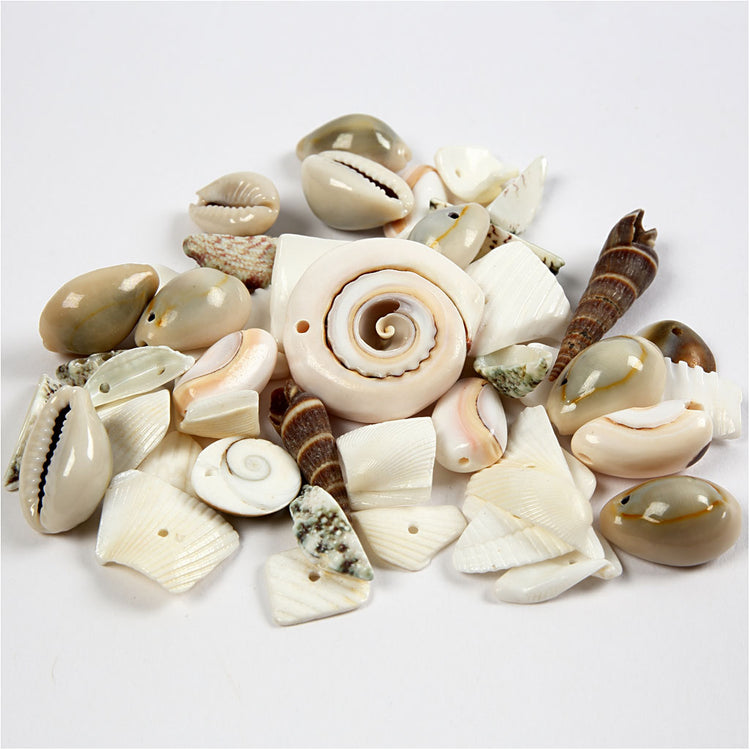 Creativ Company Strang Muschelperlen, Größe 9-40 mm, Lochgröße 1-1,5 mm, 120 g 1 Box