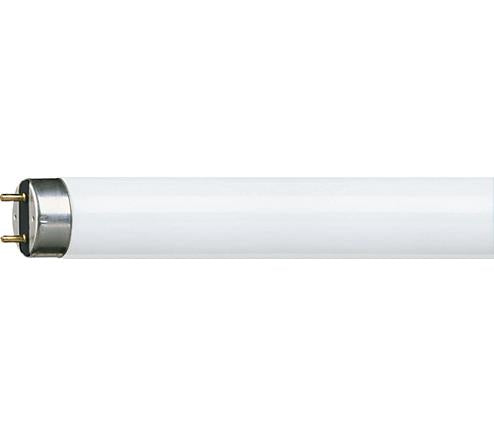 Philips Leuchtstoffröhre 8W 33-640 Mini Kaltweiß | 25 Stk