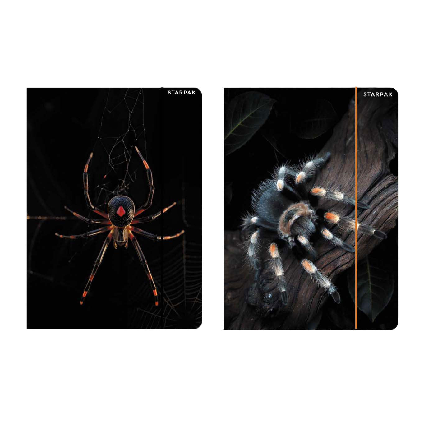 Ordner mit elastischer A4-Spinne