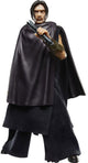 Hasbro Star Wars: The Acolyte Black Series Actionfigur The Stranger (Qimir) 15 cm große Actionfigur