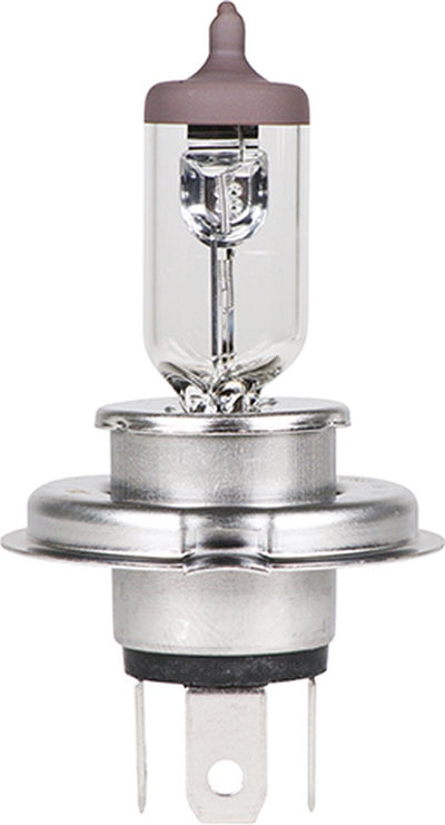 Carpoint ultrahelle H4 12V60 55W Halogenlampe – helles weißes Licht – energieeffizient – einfache Installation