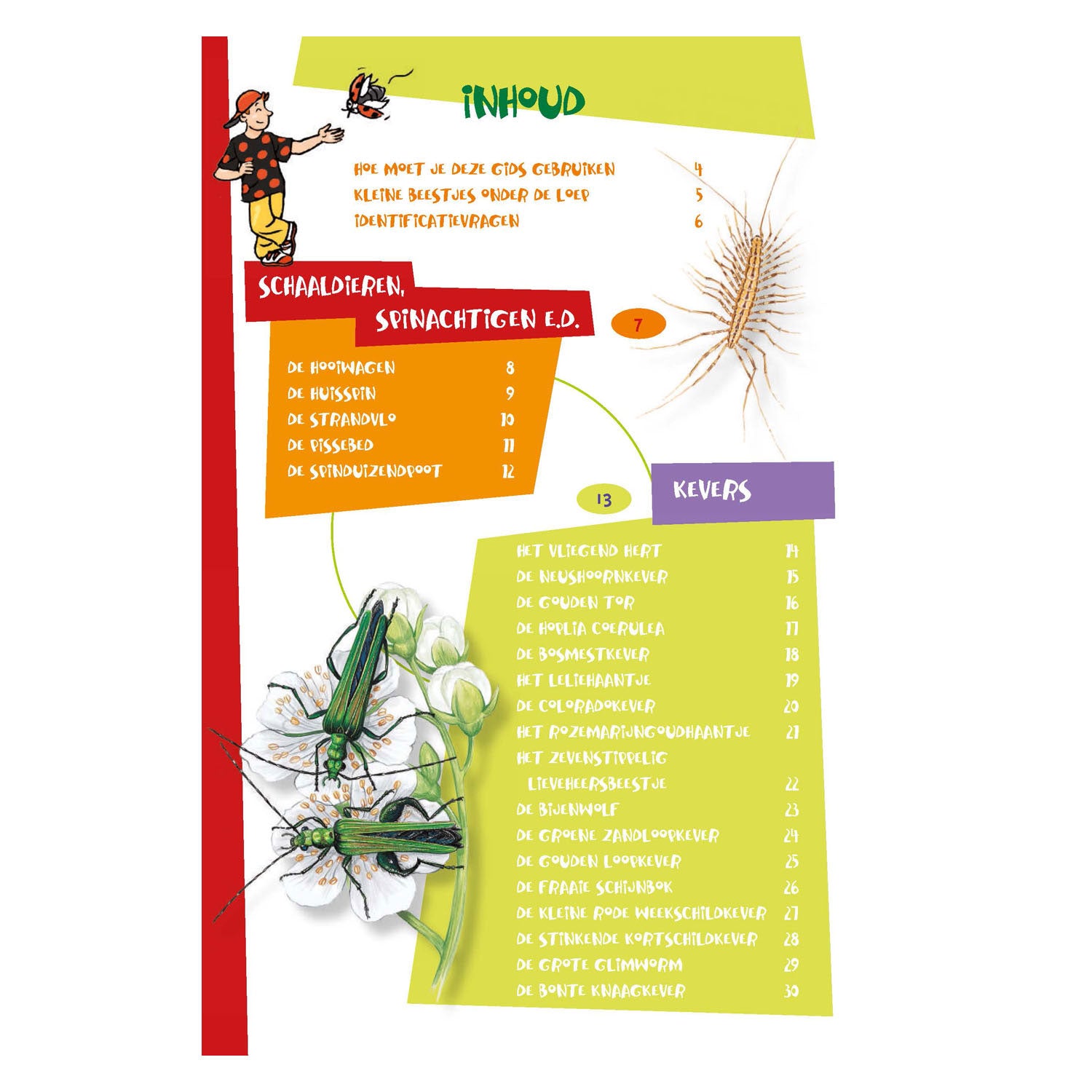 Der beste Insektenführer für Kinder