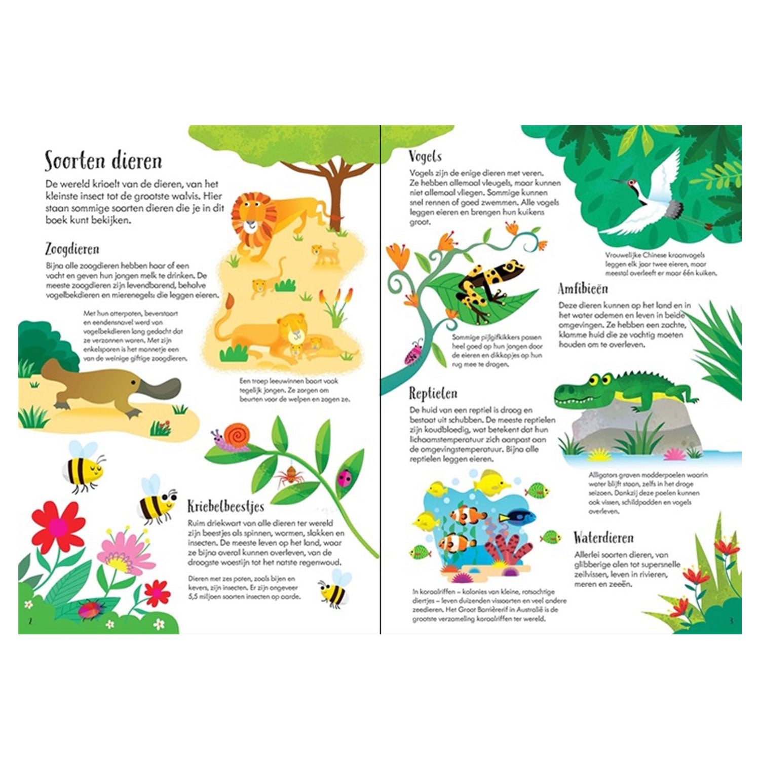 WPG-Verlag: Tiere der Welt, Buch und Puzzle