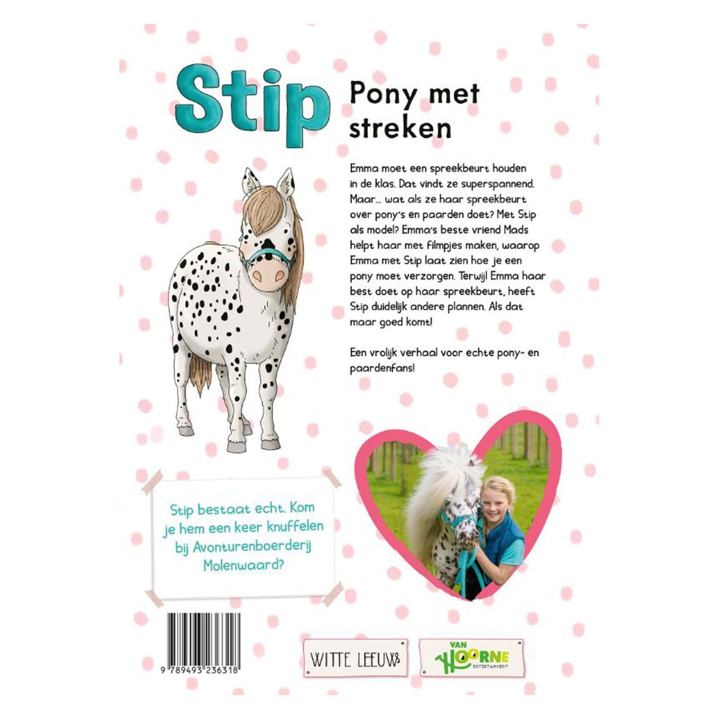 Stipe - Pony mit Regionen
