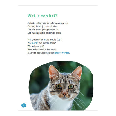 WPG-Verleger, das ist eine Katze – AVI E3