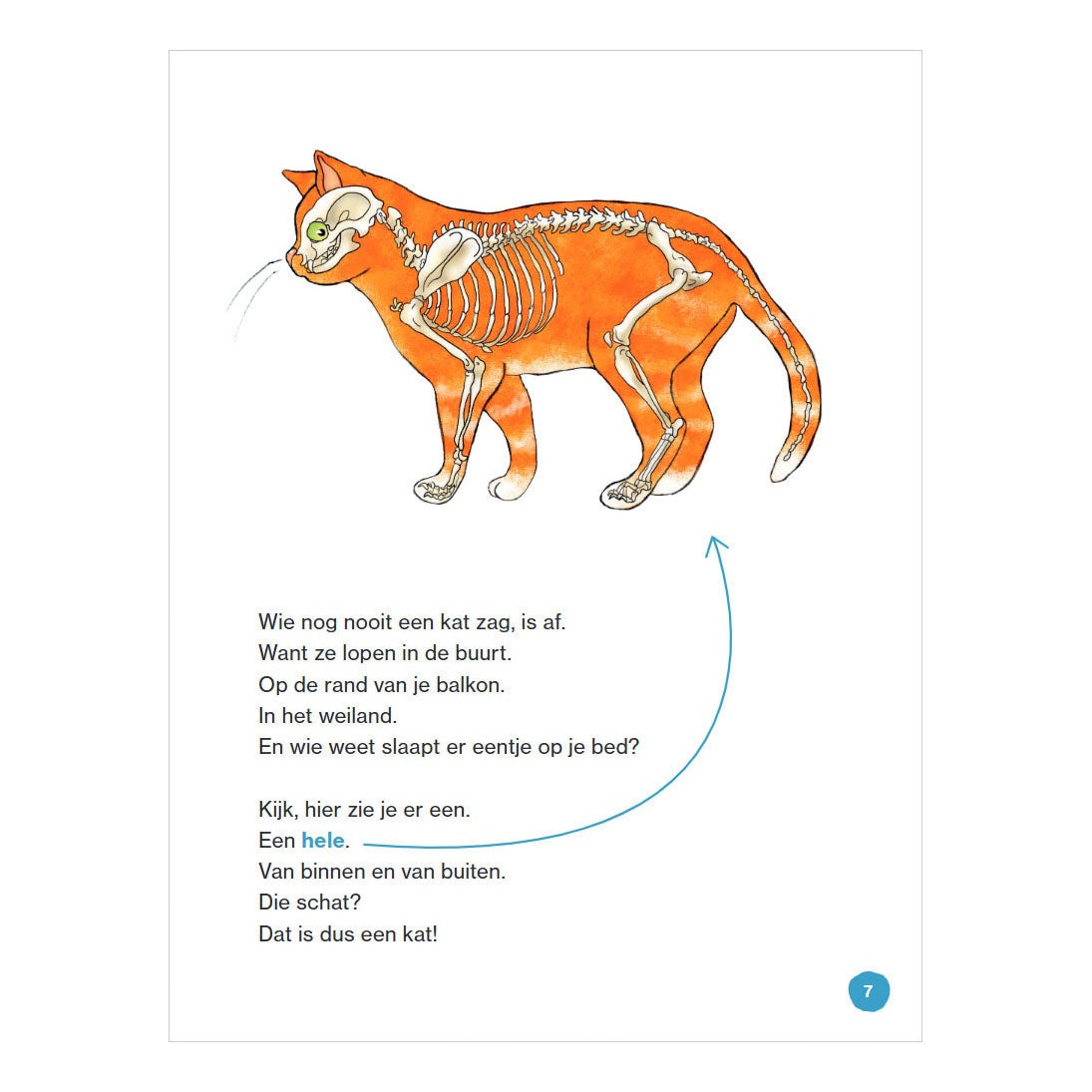WPG-Verleger, das ist eine Katze – AVI E3