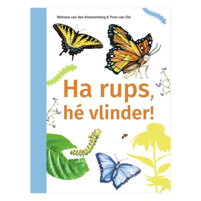 WPG-Verleger Hey Raupe, hey Schmetterling! -avi m4