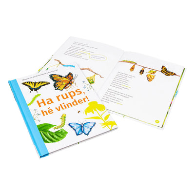 WPG-Verleger Hey Raupe, hey Schmetterling! -avi m4
