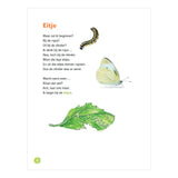 WPG-Verleger Hey Raupe, hey Schmetterling! -avi m4 - afbeelding 3
