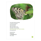 WPG-Verleger Hey Raupe, hey Schmetterling! -avi m4 - afbeelding 4