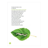 WPG-Verleger Hey Raupe, hey Schmetterling! -avi m4 - afbeelding 5