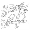Malbuch - Vögel neu