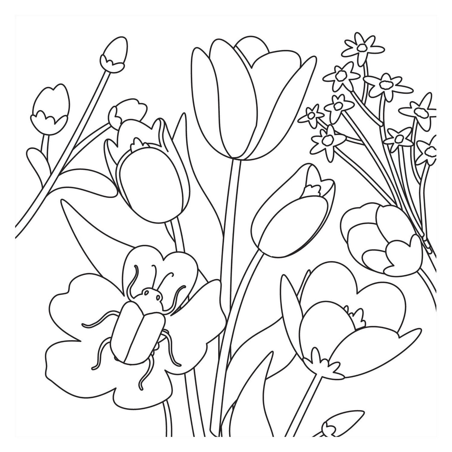 Malbuch - Neue Blüte