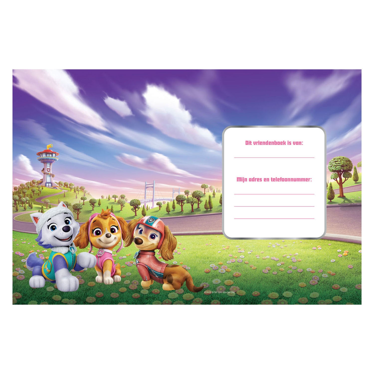 Freundebuch – Paw Patrol Mädchenwelpen ab 6 Jahren